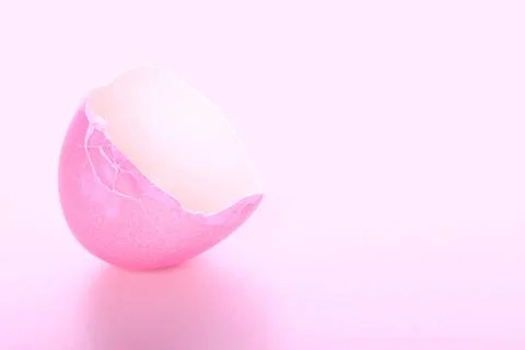 Egg shell - studio shot Stock Photos