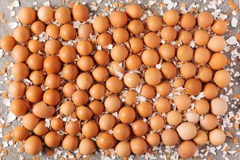 Egg shell texture, background from halves of an egg shell. top view Stock Photos