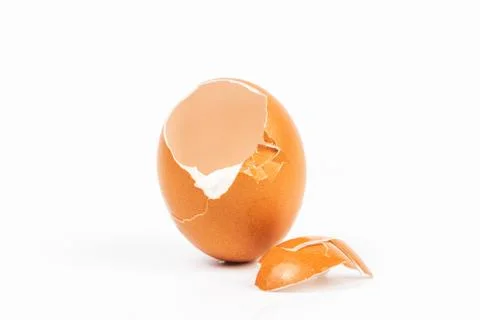 Egg shell on white background  Stock Photos