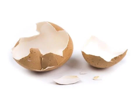 The egg shell on a white background Stock Photos