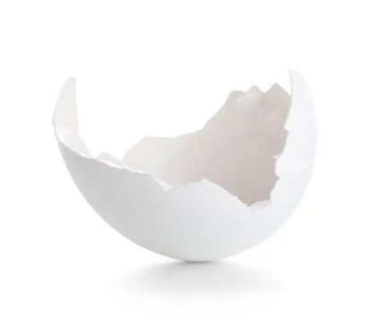 Egg shell on white background Foto stock