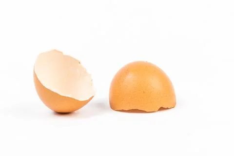 Egg shell on white background Фото