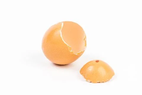 Egg shell on white background Фото