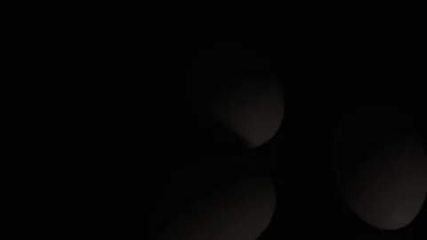 Egg. Shell. White. The form. Oval. 動画素材 83342848