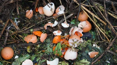 Egg shells and other food and agricultural waste from human activity on compost Stock Footage 229863251