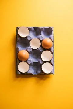 Egg shells and whole eggs in a carton. Top view. Stock Photos