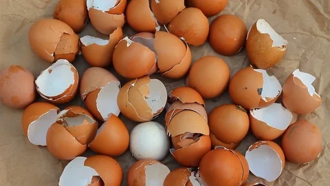 Egg shells be a benefit to the garden soil Stock Footage 92839922