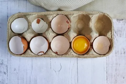 Egg shells from the egg background of the tree Stock Photos