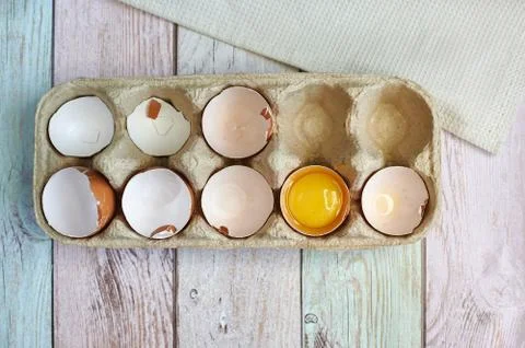 Egg shells from the egg background of the tree Stock Photos