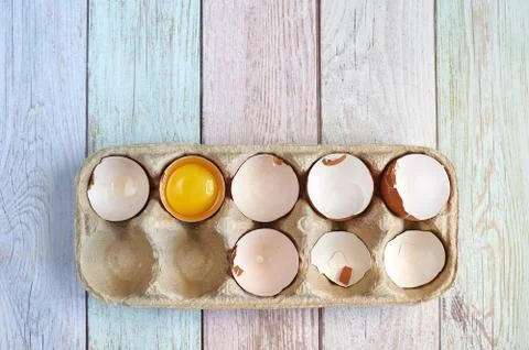 Egg shells from the egg background of the tree Stock Photos