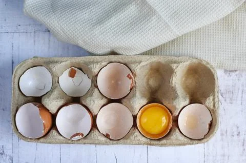 Egg shells from the egg background of the tree Stock Photos