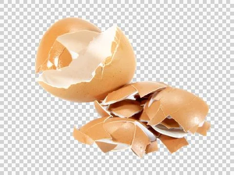 Egg shells isolated on white background. Stock Photos