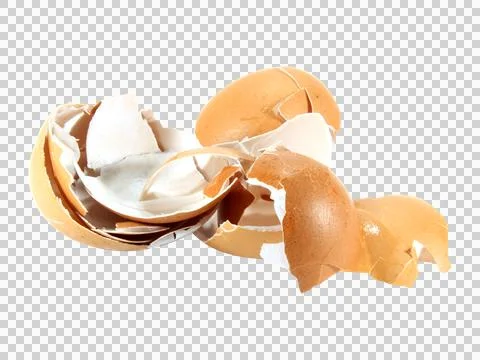 Egg shells isolated on white background. Stock Photos