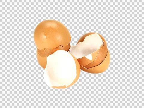 Egg shells isolated on white background. Stock Photos