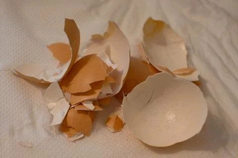 Egg shells on a paper towel Stock Photos