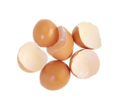 Egg shells Stock Photos