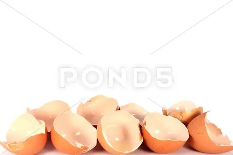 Egg shells Stock Photos