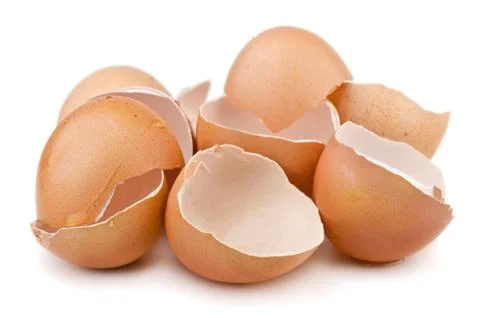 Egg shells Stock Photos