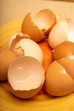 Egg shells on a plate Stock Photos