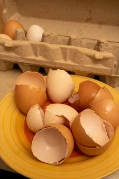 Egg shells on a plate Stock Photos