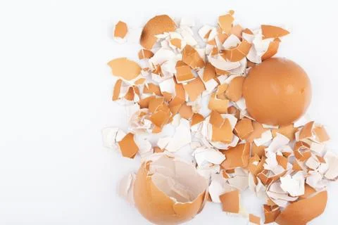 Egg shells scattered on a white background Stock Photos