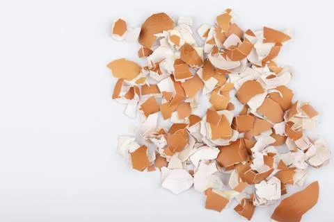 Egg shells scattered on a white background Stock Photos