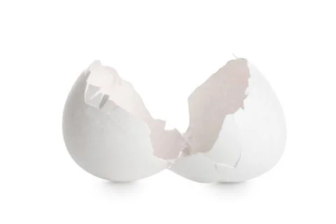 Egg shells on white background Foto stock