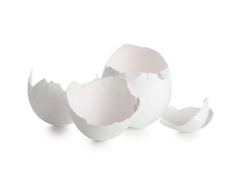 Egg shells on white background Foto stock