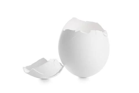 Egg shells on white background Foto stock