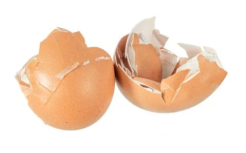 Egg shells on white isolated background Stock Photos