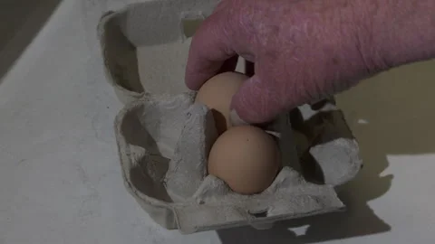 Egg Shoretage Stock Footage 280170484