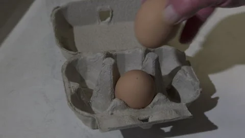 Egg Shoretage Stock Footage 280170530
