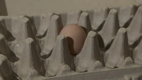 Egg Shoretage Stock Footage 280170560