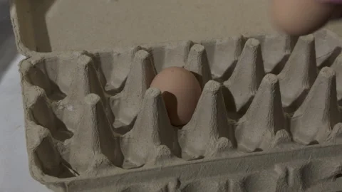 Egg Shoretage Stock Footage 280170737
