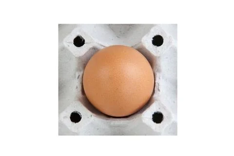 Egg single panel Stock Photos
