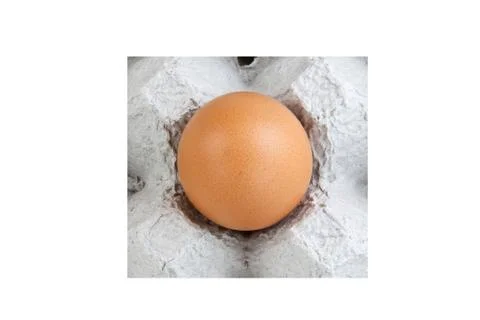 Egg single panel Stock Photos