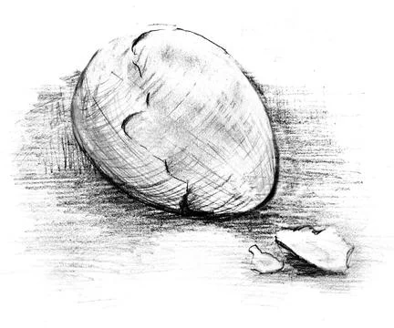 Egg sketch in monochrome on a white background painted by hand with a pencil Stock Illustration