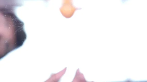 The egg is smashed directly into the camera Stock Footage 76954233