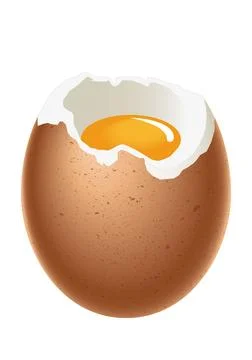 Egg - soft boiled egg, with shell, white and yolk, illustration Stock Illustration