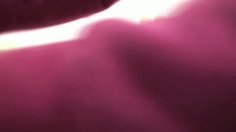 Egg Sorting Stock Footage 12645316