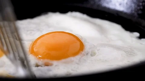 Egg-spatula-1 Stock Footage 101583430