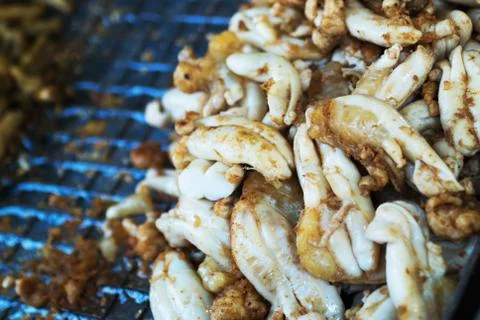 Egg squid fried Stock Photos