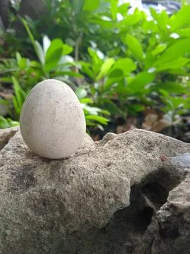 Egg stone Stockfoto's