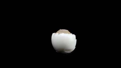 Egg of stopmotion Stock Footage 126144399