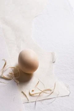 An egg with straw on paper Stock Photos