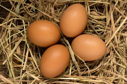 Egg. straw. on wood Stock Photos