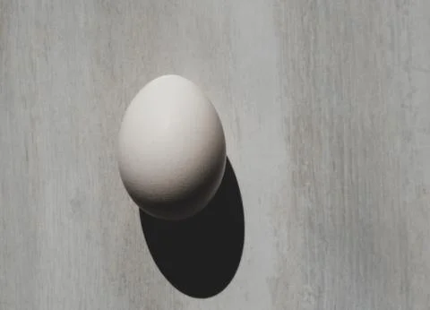 Egg on the table. Minimal white easter egg on gray background, flat lay 스톡 사진