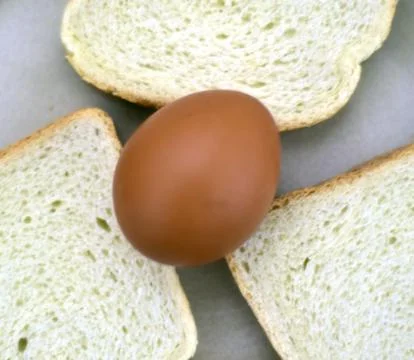 Egg on a three toast breads  Photos