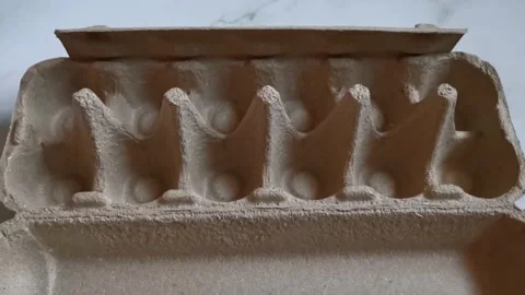 Egg Tray Box Cardboard Protector Stock Footage 170028576