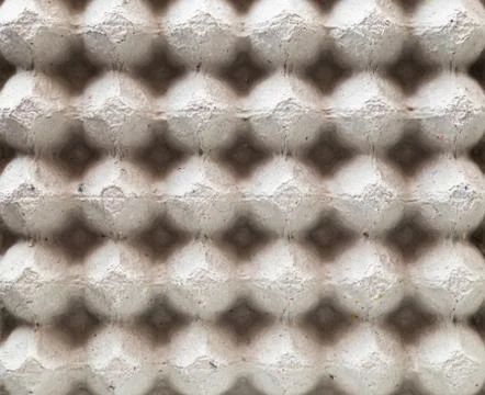 Egg tray empty Stock Photos